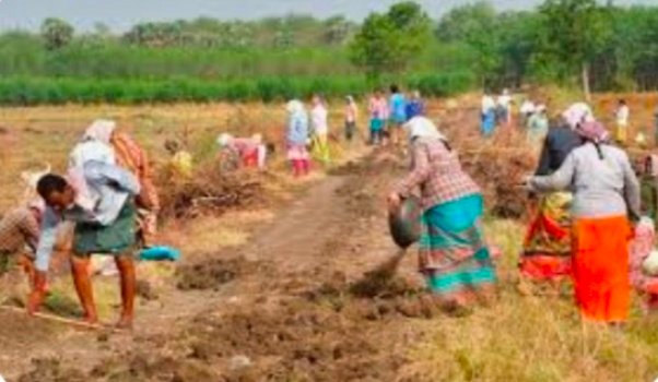 କନ୍ଧମାଳ ଜିଲ୍ଲାରେ ମହାତ୍ମାଗାନ୍ଧୀ ଜାତୀୟ ଗ୍ରାମୀଣ ନିଶ୍ଚିତ କର୍ମ ନିଯୁକ୍ତି ଯୋଜନା ମୂଳ ଲକ୍ଷ୍ୟ ଠାରୁ ବହୁ ଦୂରରେ...