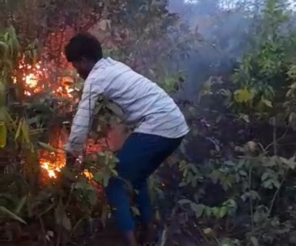 କାମ ଦେଉନି ସଚେତନତା କାର୍ଯ୍ୟକ୍ରମ, ବଉଳା ପାହାଡରେ ଲାଗିଲା ନିଆଁ, ଅନେକ ଗଛପତ୍ର ପୋଡି ଛାରଖାର