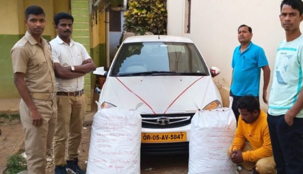 ଅବକାରୀ ବିଭାଗର ପାଟ୍ରୋଲିଂ ବେଳେ କାର ସହ ଗଞ୍ଜେଇ ଜବତ: ଜଣେ ଗିରଫ