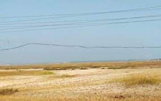 ହୁମ୍ମା ଲବଣ ଚାଷଜମି ରାଜ୍ୟସରକାରଙ୍କୁ ହସ୍ତାନ୍ତର ନେଇ ବିଧାନସଭାରେ ପ୍ରଶ୍ନ ଉଠାଇଲେ ବିଧାୟକ ସୁବାଷ ଚନ୍ଦ୍ର ବେହେରା