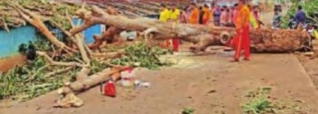 ଅଦିନିଆ ପଶ୍ଚିମା ଝଡ଼ରେ ଗଜପତି ଜିଲ୍ଲା ପ୍ରଭାବିତ ରାସ୍ତା ଅବରୋଧ ଓ କ୍ଷୟକ୍ଷତି