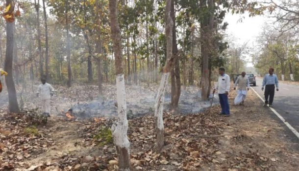 କନ୍ଧମାଳ କୁଇ ସମାଜ ସେବା ସମିତି କର୍ମକର୍ତ୍ତା ମାନେ ଜଙ୍ଗଲରେ ନିଆଁ ଲିଭାଇଲେ