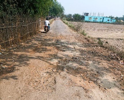 ଛୟାଳସିଂ-ସେଣ୍ଢତୀରା ଆର୍‌.ଡି ରାସ୍ତା ମରଣଯନ୍ତା