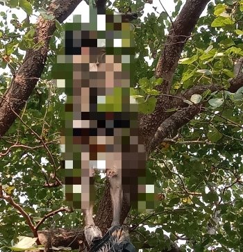 ହାଟଡିହି କଲେଜ ଛାତ୍ର ନିଖୋଜର ୨୬ଦିନ ପରେ ଚକ୍ରତୀର୍ଥ ପାହାଡରୁ ମିଳିଲା ମୃତଦେହ