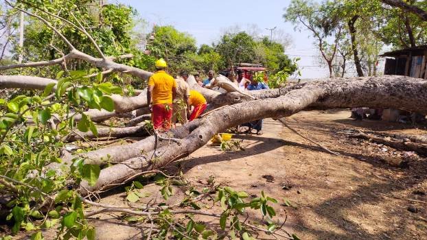 କାଳବୈଶାଖିରେ ଉପୁଡିଲା ଗଛ, ଗଛକାଟି ରାସ୍ତା ପରିସ୍କାର କଲା ଅଗ୍ନିଶମ ବିଭାଗ
