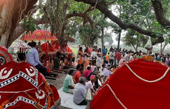 ପ୍ରସିଦ୍ଧ ଭରତପୁର ଦୋଳମେଲଣ ଅନୁଷ୍ଠିତ