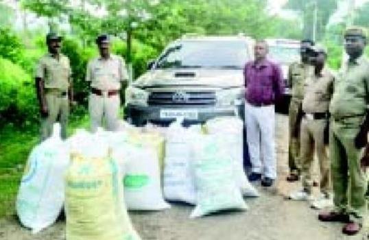 ରାମଗିରି ପୋଲିସର ବଡ଼ ସଫଳତା,୫ ଲକ୍ଷ ଟଙ୍କାର ଗଞ୍ଜେଇ ଜବତ