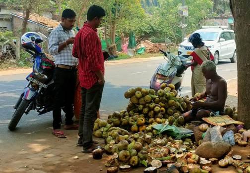 ଜମୁଛି ତାଳସଜ ବେପାର