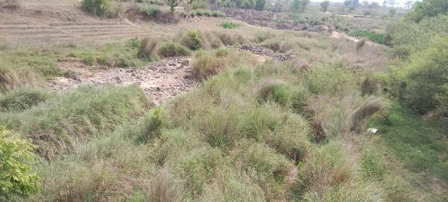 ଜାମଦା ଅଞ୍ଚଳର ନଦନଦୀ ଶୁଷ୍କ,ଚାଷୀ ହତାସ