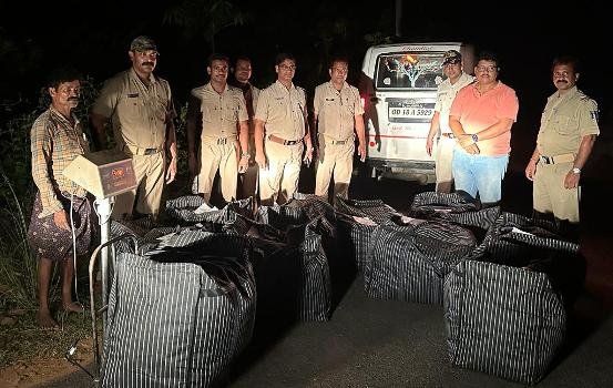 କାଶୀନଗର ପୋଲିସର ଚଢ଼ାଉ ୪ ଶହ କେ.ଜି ଗଞ୍ଜେଇ ଜବତ