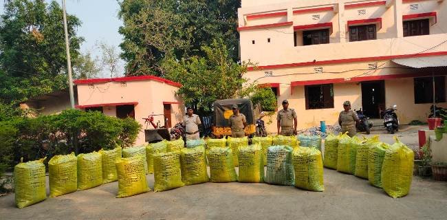 ଆଳୁ ବୋଝେଇ ଟ୍ରକ ରେ ଗଞ୍ଜେଇ ଚାଲାଣ ବେଳେ ଦୁର୍ଘଟଣା ୨୫ ବସ୍ତା ଗଞ୍ଜେଇ ଜବତ କଲା ପାଟପୁର ପୋଲିସ