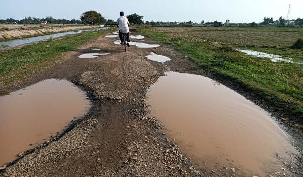 ପନ୍ଦାଡୋ ଇଞ୍ଚୋଳ କେନାଲ ରାସ୍ତାର ଦୁରାବସ୍ଥା, ସବୁ ଦେଖି ଚୁପ ବସିଛି ଜଳସମ୍ପଦ ବିଭାଗ