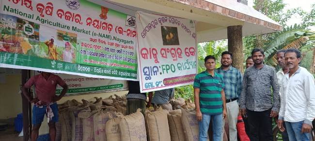 ଆନ୍ତଃରାଜ୍ୟ ବାଣିଜ୍ୟ ମାଧ୍ୟମରେ ୩୦ କୁଇଣ୍ଟାଲ କଞ୍ଚା କାଜୁ ବିକ୍ରି