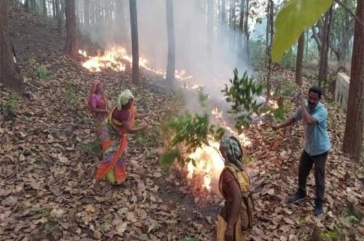 ସିମନବାଡ଼ି ଜଙ୍ଗଲ ଜଳୁଛି ବନ ଜୀବଜନ୍ତୁଙ୍କ ଜୀବନ ବିପଦରେ ପଡ଼ି ଯାଇଛି