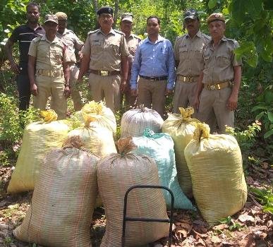 ୧୦ ଲକ୍ଷ ଟଙ୍କାର ଗଞ୍ଜେଇ ଜବତ ମାଫିଆ ଫେରାର