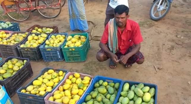 ଆମ୍ବ ଉତ୍ପାଦନ ଓ ରପ୍ତାନୀର ପେଣ୍ଠସ୍ଥଳୀ କାଶୀନଗର