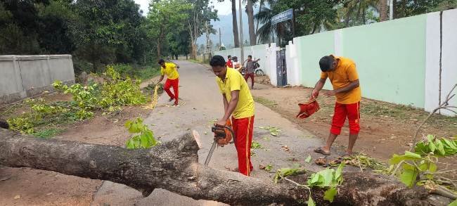 କାଳବୈଶାଖୀ ତାଣ୍ଡବ ଭାଙ୍ଗିଲା ଗଛ ୬ଘଣ୍ଟା ବିଦୁତ କାଟ