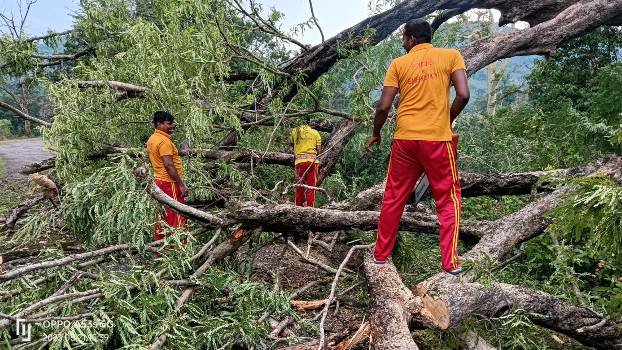 ମୋହନା ଅଞ୍ଚଳ ରେ କାଳବୈଶଖୀ ତାଣ୍ଡବ