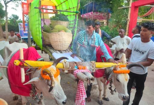 ଦେଉଳି ମଠ ଠାରୁ ଶଗଡ଼ି ରେ ଶ୍ରୀମନ୍ଦିର ଗଲା ଅଣସର ଫଳ ଭାର