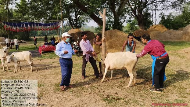 ମରାଇପାଟରେ ତୃତୀୟ ଗୋ-ବନ୍ଧ୍ୟା ନିରାକରଣ ଶିବିର