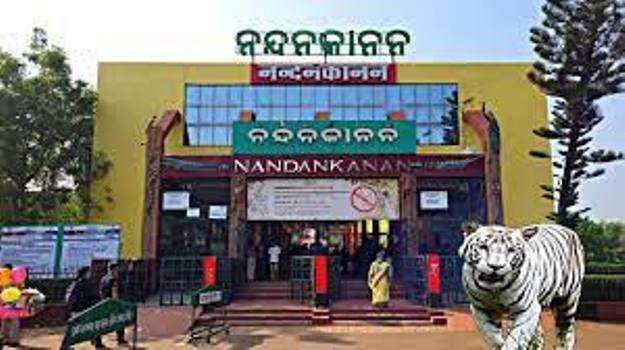 ବିଶ୍ବସ୍ତରୀୟ ହେବ ନନ୍ଦନକାନନ