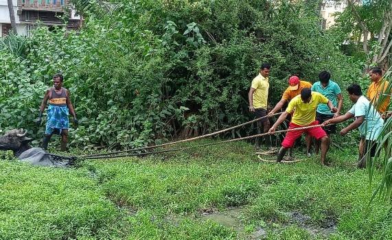 ମଇଁଷିକୁ ଉଦ୍ଧାରକଲେ ସ୍ୱେଚ୍ଛାସେବୀ ଓ ଅଗ୍ନିଶ୍ରମ ବିଭାଗ