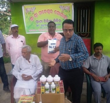 ଶ୍ରୀ ଗତେଶ୍ୱର ଗୋଶାଳାରେ ପ୍ରାଣୀ ଚିକିତ୍ସା ଶିବିର