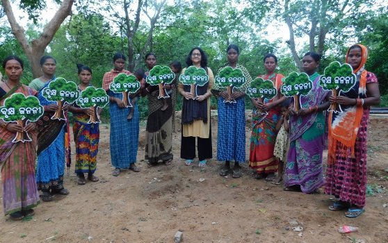 ବନ ମହୋତ୍ସବ ସପ୍ତାହ ଅବସରରେ ଆରମ୍ଭ ହେଲା ବୃକ୍ଷ ଜନନୀ କାର୍ଯ୍ୟକ୍ରମ
