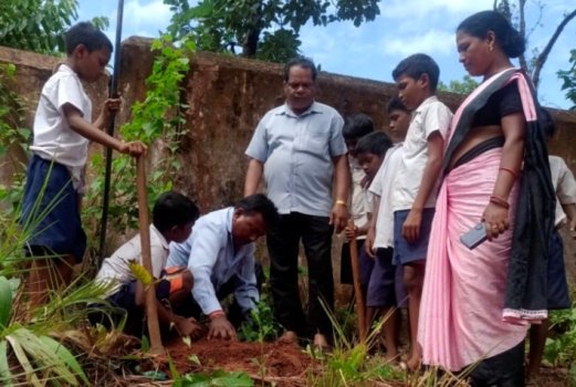 ନୁଆସାହି ବିଦ୍ୟାଳୟରେ ୭୪ ତମ ବନ ମହୋତ୍ସବ ପାଳିତ