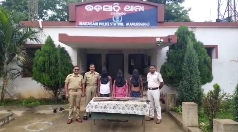 ଶିମିଳିପାଳରେ କୁମ୍ବିଂ ଅପରେସନକୁ ଜୋରଦାର କଲା ପୋଲିସ