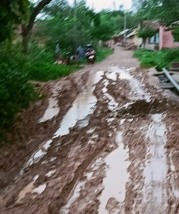 ବରାଜିଆଣୀ ଗାଁ ରାସ୍ତା କାଦୁଅ ପଚ ପଚ