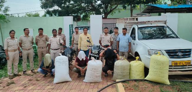 ଚୋରାଚାଲାଣ ବେଳେ ଗଞ୍ଜାଇ ଜବତ ୩ ଗିରଫ