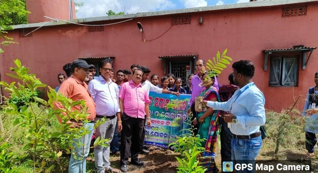 କେନ୍ଦ୍ରାପଡା ସ୍ୱୟଂ ଶାସିତ ମହାବିଦ୍ୟାଳୟରେ ବନ ମହୋତ୍ସବ ସପ୍ତାହ ପାଳିତ