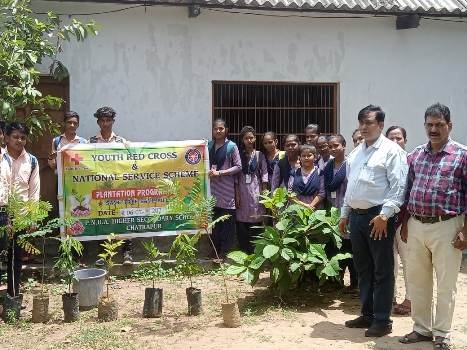 ପିଏନୟୁଏ କଲେଜ ପରିସର ରେ ବୃକ୍ଷରୋପଣ କାର୍ଯ୍ୟକ୍ରମ ଅନୁଷ୍ଠିତ