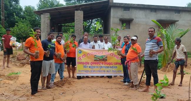 ବୃକ୍ଷରୋପଣ କାର୍ଯ୍ୟକ୍ରମ ଅନୁଷ୍ଠିତ