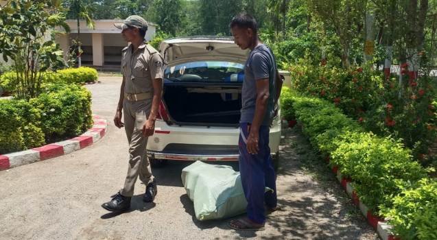 କାରରେ ଗଞ୍ଜେଇ ଚୋରା ଚାଲାଣ