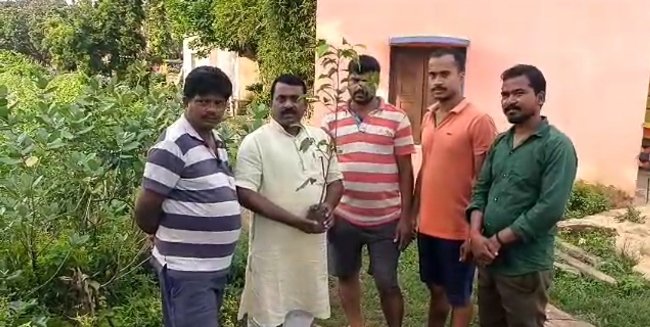 ବିଜେପି ପକ୍ଷରୁ ବୃକ୍ଷରୋପଣ କାର୍ଯ୍ୟକ୍ରମ