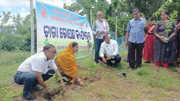 ବାଲେଶ୍ବର ଓୟୁଜେ ପକ୍ଷରୁ ଚାରା ରୋପଣ କାର୍ଯ୍ୟକ୍ରମ
