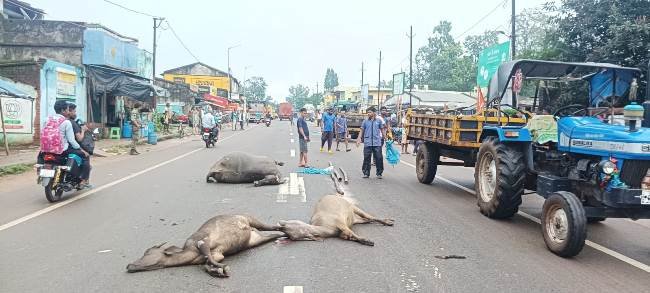 ଅଜଣା ଗାଡିଧକ୍କାରେ ପାଂଚ ମଇଁଷି ମୃତ
