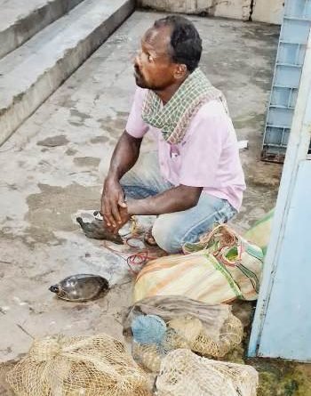 ବନ ବିଭାଗ ଚାନ୍ଦିପୁର ରେଞ୍ଜ ପକ୍ଷରୁ ଚୋରା ଚାଲାଣ