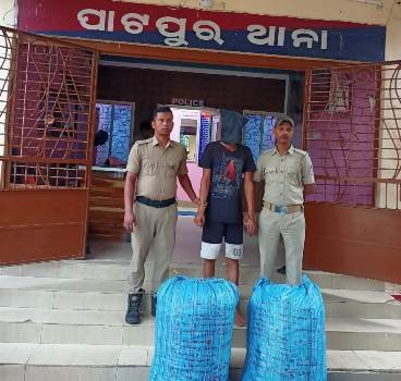 ୭୨ କେଜି ଗଞ୍ଜେଇ ଜବତ ଯୁବକ ଗିରଫ କୋର୍ଟ ଚାଲାଣ