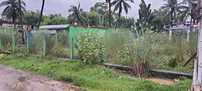 ୧୫ଲକ୍ଷ ଟଙ୍କାରେ ନିର୍ମିତ ପାର୍କରେ କେବଳଘାସ ବୁଦାରେ ପରିପୁର୍ଣ୍ଣ