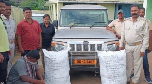 ବୋଲେରୋ ସହ ବିପୁଳ ପରିମାଣ ରେ ବେଆଇନ ଗଞ୍ଜେଇ ଜବତ