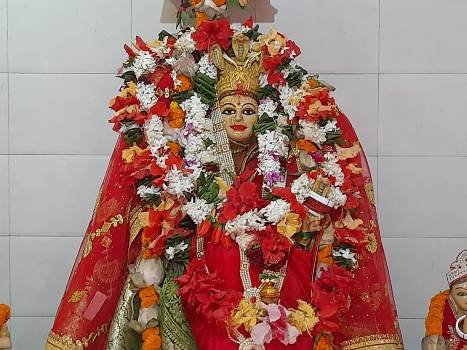 ବାସିଙ୍ଗୀ ପ୍ରସିଦ୍ଧ ମା' ମାନସାଙ୍କ ପୀଠରେ ଯଜ୍ଞ ସମାରୋହ