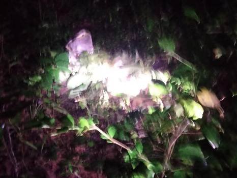 ଜଙ୍ଗଲ ରୁ ଗଳିତ ଶବ ଉଦ୍ଧାର