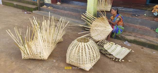 ରୋଜୋଗାର ହରାଇଛନ୍ତି ଟାଙ୍କଲା ଆଦିବାସୀ