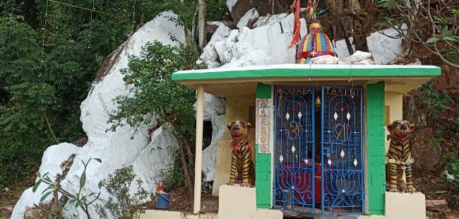 ସାଧୁ ସାଧନାର ମୁକସାକ୍ଷୀ, ଗଜପତିର ତାରାତାରିଣୀ ଶକ୍ତି ପୀଠ ପାରଳାଖେମୁଣ୍ଡି,20/10(ତାରିଣୀ ପ୍ରସାଦ ପଣ୍ଡା ): ଗଜପତି ଜିଲ୍ଲାର ଗୁମ୍ମା ବ୍ଲକ ଅନ୍ତର୍ଗତ ତାରାତାରିଣୀ ମନ୍ଦିର ଶକ୍ତି ପୀଠ ନିହାରା ଏବଂ ସ୍ୱତନ୍ତ୍ରତା ବହନ କରେ।ପୀଠ ଚତ୍ରୁପାର୍ଶରେ ଘେରି ରହିଛି ପର୍ବତମାଳା।ବିରାଟ ଦୁଇ ପଥର ମଝିରେ ଝରି ପଡ଼ୁଛି ଚିରସ୍ରୋତ ଝରଣା ଜଳସ୍ରୋତ।କୁଳୁକୁଳୁ ନାଦରେ ଝରଣା ଝରଣା ପୀଠର ଅନ୍ୟତମ ଆକର୍ଷଣ କେନ୍ଦ୍ରପିନ୍ଧୁ। ଘନ କୁହୁଡ଼ି ଘେରା ପର୍ବତ ଶିଖର ଶାନ୍ତି ଓ ଶୀତଳ ଅନୁଭୂତି ନିହରା। ଐତିହାସିକ ଯୁଗରୁ ମନ୍ଦିରଟି ନିର୍ମାଣ ନ ହୋଇଥିଲେ ମଧ୍ୟ ଏହାର ଦର୍ଶନୟ ବେଶ ମନୋରମ।୧୯୮୨ ମସିହାରେ ମନ୍ଦିରଟିର ନିର୍ମାଣ କାର୍ଯ୍ୟ ଆରମ୍ଭ ହୋଇଥିଲା। କିମ୍ବଦନ୍ତୀ ଅନୁଯାୟୀ,୧୯୮୨ ମସିହାରେ ଗୁମ୍ମା ଠାରୁ ସେରଙ୍ଗକୁ ପର୍ବତ ଘେରରେ ନୂତନ ରାସ୍ତା ନିର୍ମାଣ ହେବାକୁ ଯାଉଥିଲା। ଏହି ସ୍ଥାନରେ ଏକ ବ୍ରିଜ ନିର୍ମାଣ କରାଯାଇଥିଲା ଏବଂ ଏଠାରେ ଦୁଇଟି ବଡ଼ ପଥରକୁ ହଟାଇବାକୁ ଚେଷ୍ଟା କରିଥିଲେ କର୍ମଚାରୀ। ପଥରଟି ମାଙ୍କ ପୀଠ ଥିବା ଜାଣିନଥିଲେ ଠିକାଦାର। ନିର୍ମାଣ ହେଉଥିବା ବ୍ରିଜ ଭୁସିଡ଼ିବାକୁ ଲାଗିଲା ଏହିପରି ବ୍ରିଜଟି ତିନିଥର ଭୁଶୁଡ଼ିଲା। ଏହାପରେ ଆଶ୍ଚର୍ଯ୍ୟରେ ଠିକାଦାର। ସନ୍ଧ୍ୟା ସମୟରେ ଠିକାଦାର ଚିନ୍ତାରେ କାନ୍ଧିବାକୁ ଲାଗିଲେ ଆଉ ନିଜ ଘରକୁ ଫେରିଗଲେ।ରାତ୍ରିରେ ଠିକାଦାରଙ୍କୁ ସପ୍ନରେ ମା କହିଲେ ମୁଁ ସେହି ସ୍ଥାନରେ ଅଛି ଆଉ ମୋ ଘର ଭଙ୍ଗାଯାଇଛି। ମୋ ଘରକୁ ଛାଡ଼ି ରାସ୍ତା କରାଯାଉ। ଏପରି ସପ୍ନ ଆଦେଶ ପରେ ସେଠାକୁ ଯାଇ ଠିକାଦାର ପୂଜାର୍ଚ୍ଚନା କରିଥିଲେ ତାହାପରେ ବ୍ରିଜର ନିର୍ମାଣ କାର୍ଯ୍ୟ ସମ୍ପୂର୍ଣ୍ଣ ହୋଇଥିଲା। ଠିକାଦାର ଏମ୍ ଚିହ୍ନା,ଏମ୍ ତାଉଡୁ ଦୁଇ ପଥର ମଝିରେ ଛୋଟିଆ ଘର କରି ମା ତାରାତାରିଣୀ ନାମରେ ପୂଜାର୍ଚ୍ଚନା କରିଥିଲେ। ସେହି ଦିନ ଠାରୁ ମା ତାରାତାରିଣୀ ନାମରେ ସ୍ଥାପନା କରାଯାଇ ବର୍ତ୍ତମାନ ପର୍ଯ୍ୟନ୍ତ ପ୍ରସିଦ୍ଧ ତାରିଣୀ ପୀଠ।ତାରାତାରିଣୀ ଶକ୍ତି ପୀଠରେ ଚୌତ୍ର ମାସରେ ନବରାତ୍ରୀ,ଦଶହରା,ମହା ଶିବରାତ୍ରି,ମଙ୍ଗଳବାର, ଶନିବାର ଅଧିକାଂଶ ଭକ୍ତଙ୍କ ଭିଡ଼ ଏବଂ ବହୁ ମାନସିକ ଧାରୀ ମୁଣ୍ଡନ କରିଥାନ୍ତି।ପ୍ରତି ଦିନ ସକାଳୁ ସନ୍ଧ୍ୟା ମାଙ୍କୁ ରୀତିନୀତି ଅନୁସାରେ ପୂଜାର୍ଚ୍ଚନା କରାଯାଇଛି।ସେହିପରି ପ୍ରତି ମାସ ସଂକ୍ରାନ୍ତି ଦିନ ଶ୍ରଦ୍ଧାଳୁମାନଙ୍କ ଜନ ଗହଳି ଅଧିକା ରହିଥାଏ।ମାଙ୍କ ସ୍ୱତନ୍ତ୍ର ପାଣ୍ଟି କିଛି ନଥିବା ବେଳେ ପୂଜକ ପ୍ରଦୀପ ହତାଙ୍କ ନିଜସ୍ବ ଉଦ୍ୟମ ତଥା କିଛି ଭକ୍ତଙ୍କ ଇଛାଶକ୍ତି ଯୋଗୁଁ ଆଜି ଏହି ପୀଠ ସ୍ଥଳୀ ଚିହ୍ନଟ ହୋଇପାରିଛି।ଘଞ୍ଚ ଜଙ୍ଗଲ ଘେରା ପାହାଡ଼ ଶିଖର ପ୍ରକୃତିକ ସୌନ୍ଦର୍ଯ୍ୟମୟ ତାରାତାରିଣୀ ପୀଠ ପ୍ରତି ରାଜ୍ୟ ସରକାର ବର୍ତ୍ତମାନ ୨୯ଲକ୍ଷ ଟଙ୍କାର ଅନୁଦାନ ଅନୁମୋଦନ ସହ ବ୍ଲକ ପ୍ରଶାସନ ପକ୍ଷରୁ ମଧ୍ୟ ୧୦ଲକ୍ଷ ଟଙ୍କା ମଞ୍ଜୁର କରାଯାଇଛି।ଫଳରେ ଶୌଚାଳୟ,ପାର୍କିଂସ୍ଥଳୀ,ବିଦ୍ଯୁତ,ରୋଷେଇ ସାଳ,ପାନ୍ଥଶାଳା,ପାନୀୟ ଜଳ ଆଦି ବିଭିନ୍ନ ସୁବିଧା ଭକ୍ତମାନଙ୍କୁ ଆହୁରି ଆକୃଷ୍ଟ କରିବ ବୋଲି ପୂଜକ ପ୍ରଦୀବ କୁମାର ହତା କହିଛନ୍ତ। (କେମିତି ଯିବେ) ପାରଳାଖେମୁଣ୍ଡି ଠାରୁ ୩୪ କି.ମି ଏବଂ ଗୁମ୍ମା ସଦର ମହକୁମାଠାରୁ ମାତ୍ର ୩ କି.ମି।ରାସ୍ତାଘାଟ ଭଲ ଥିବାରୁ ସରକାରୀ ବେସରକାରୀ ଗାଡ଼ିର ଶୁଭିଧା। ବ୍ରହ୍ମପୁର ଠାରୁ ୧୦୬ କି.ମି ଭାୟା ଆର ଉଦେଇଗିରି ସେରଙ୍ଗ ।