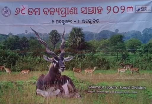 ବୁଗୁଡା ବନାଞ୍ଚଳରେ ୬୯ ତମ ବନ୍ୟପ୍ରାଣୀ ସପ୍ତାହ ପାଳନ