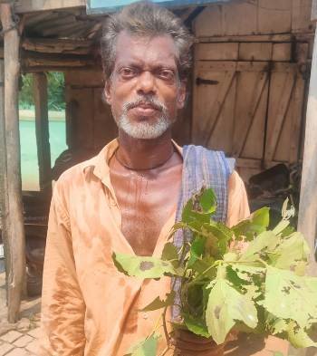 ଗର୍ଭଣା ଡାଳ ପୋତି ଧାନଫସଲ ରେ ଚାଷୀ ଙ୍କ ପୂଜା