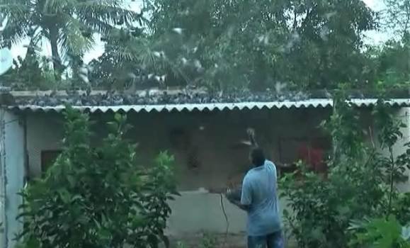 ଭରତ ଙ୍କ ପକ୍ଷୀ ପ୍ରେମ କୁ ନେଇ ଚର୍ଚ୍ଚା